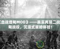 《血戰(zhàn)緬甸MOD》——真實(shí)再現(xiàn)二戰(zhàn)緬甸戰(zhàn)役，沉浸式策略體驗(yàn)！
