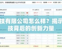 比比科技有限公司怎么樣？揭示領(lǐng)先科技背后的創(chuàng)新力量