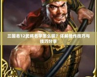 三國志12武將名字怎么輸？詳解操作技巧與技巧分享