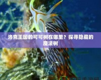 洛克王國(guó)的可可樹(shù)在哪里？探尋隱藏的魔法樹(shù)