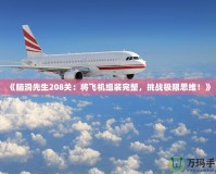 《腦洞先生208關(guān)：將飛機(jī)組裝完整，挑戰(zhàn)極限思維！》