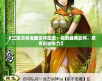 《三國(guó)殺標(biāo)準(zhǔn)版武將圖鑒：探索經(jīng)典武將，感受歷史魅力》