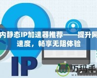 國內(nèi)靜態(tài)IP加速器推薦——提升網(wǎng)絡(luò)速度，暢享無阻體驗(yàn)
