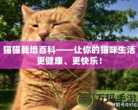 貓貓栽培百科——讓你的貓咪生活更健康、更快樂！
