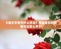《道王手游為什么停運？揭秘背后的真相與玩家心聲》