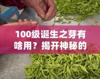 100級誕生之芽有啥用？揭開神秘的面紗，探索無限可能！