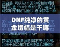 DNF純凈的黃金增幅是干嘛的？深度解析與玩法技巧