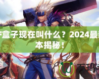 DNF盒子現(xiàn)在叫什么？2024最新版本揭秘！