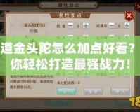 問道金頭陀怎么加點好看？讓你輕松打造最強戰(zhàn)力！