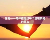 伴我——陪伴你走過(guò)每個(gè)溫暖瞬間的意義