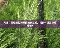 天龍八部逍遙門派技能加點攻略，輕松打造無敵逍遙俠！