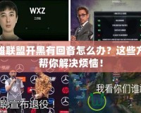 英雄聯(lián)盟開(kāi)黑有回音怎么辦？這些方法幫你解決煩惱！