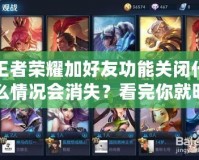 王者榮耀加好友功能關(guān)閉什么情況會(huì)消失？看完你就明白了！