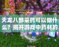 天龍八部采藥可以做什么？揭開(kāi)游戲中藥材的神秘面紗！