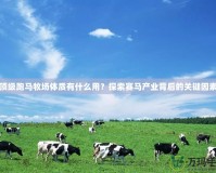 頂級(jí)跑馬牧場(chǎng)體質(zhì)有什么用？探索賽馬產(chǎn)業(yè)背后的關(guān)鍵因素