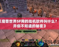 《魔獸世界SF用的掛機(jī)軟件叫什么？揭開你不知道的秘密》