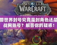 魔獸世界封號究竟是封角色還是封戰(zhàn)網(wǎng)賬號？解答你的疑惑！
