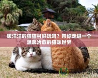 暖洋洋的貓貓村好玩嗎？帶你走進(jìn)一個(gè)溫馨治愈的貓咪世界