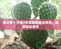 保衛(wèi)蘿卜沙漠9關(guān)攻略圖解法視頻，助你輕松通關(guān)