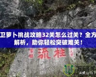 保衛(wèi)蘿卜挑戰(zhàn)攻略32關(guān)怎么過(guò)關(guān)？全方位解析，助你輕松突破難關(guān)！