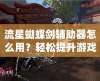 流星蝴蝶劍輔助器怎么用？輕松提升游戲體驗(yàn)的秘籍！