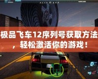 極品飛車12序列號獲取方法，輕松激活你的游戲！