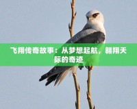 飛翔傳奇故事：從夢想起航，翱翔天際的奇跡