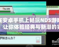在安卓手機(jī)上暢玩NDS游戲，讓你體驗(yàn)經(jīng)典與新潮的完美結(jié)合