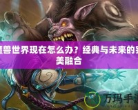 魔獸世界現(xiàn)在怎么辦？經(jīng)典與未來的完美融合