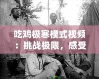 吃雞極寒模式視頻：挑戰(zhàn)極限，感受冷酷生存的魅力