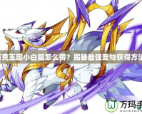 洛克王國小白狐怎么得？揭秘最強(qiáng)寵物獲得方法！