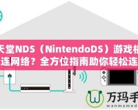 任天堂NDS（NintendoDS）游戲機怎么連網(wǎng)絡(luò)？全方位指南助你輕松連接