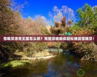 雪精靈洛克王國怎么抓？完整攻略助你輕松捕捉雪精靈！