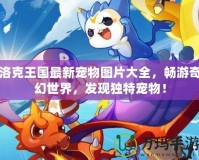 洛克王國最新寵物圖片大全，暢游奇幻世界，發(fā)現(xiàn)獨特寵物！