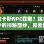 卡拉卡斯NPC在哪？揭開游戲中的神秘面紗，探索隱藏任務(wù)與寶藏