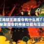 《海賊王屠魔令有什么用？揭秘屠魔令的神秘功能與深遠(yuǎn)意義》