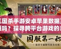 三國(guó)殺手游安卓蘋果數(shù)據(jù)互通嗎？探尋跨平臺(tái)游戲的未來之路