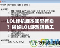 LOL掛機(jī)腳本哪里有賣(mài)？揭秘LOL游戲輔助工具的市場(chǎng)與選擇