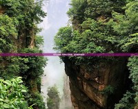 阿凡達(dá)攻略：歡迎加入反抗軍，征戰(zhàn)潘多拉星球！