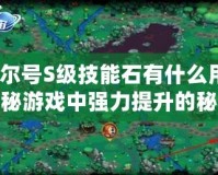 賽爾號(hào)S級(jí)技能石有什么用？揭秘游戲中強(qiáng)力提升的秘密武器！