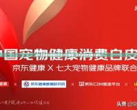 洛克王國最強寵物排行榜2023最新：征服戰(zhàn)場的寵物大集合！