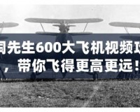 腦洞先生600大飛機(jī)視頻攻略，帶你飛得更高更遠(yuǎn)！