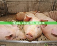 手游CF盒子：讓你的戰(zhàn)斗更精彩，體驗(yàn)極致樂(lè)趣