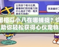洛克王國(guó)格斗小八在哪捕捉？詳細(xì)攻略助你輕松獲得心儀寵物
