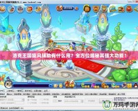 洛克王國旋風(fēng)輔助有什么用？全方位揭秘其強(qiáng)大功能！