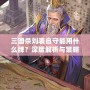 三國殺劉表自守能用什么牌？深度解析與策略推薦