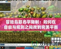 冒險(xiǎn)島取名字限制：如何在自由與規(guī)則之間找到完美平衡