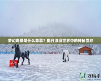 夢(mèng)幻奇緣是什么意思？揭開(kāi)浪漫世界中的神秘面紗