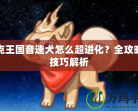 洛克王國音速犬怎么超進(jìn)化？全攻略與技巧解析