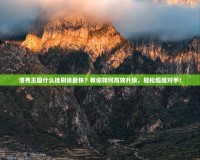 洛克王國什么掛刷級(jí)最快？教你如何高效升級(jí)，輕松超越對(duì)手！